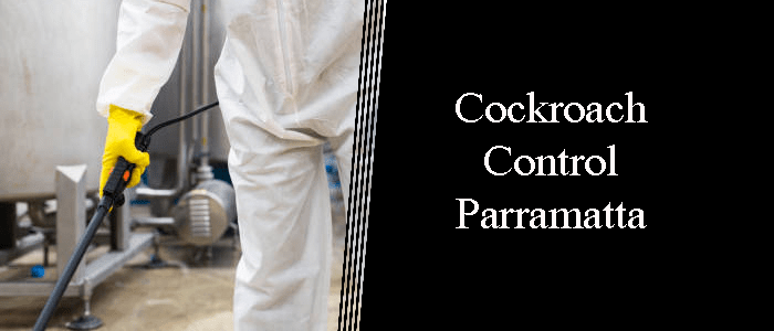 Cockroach Control Parramatta